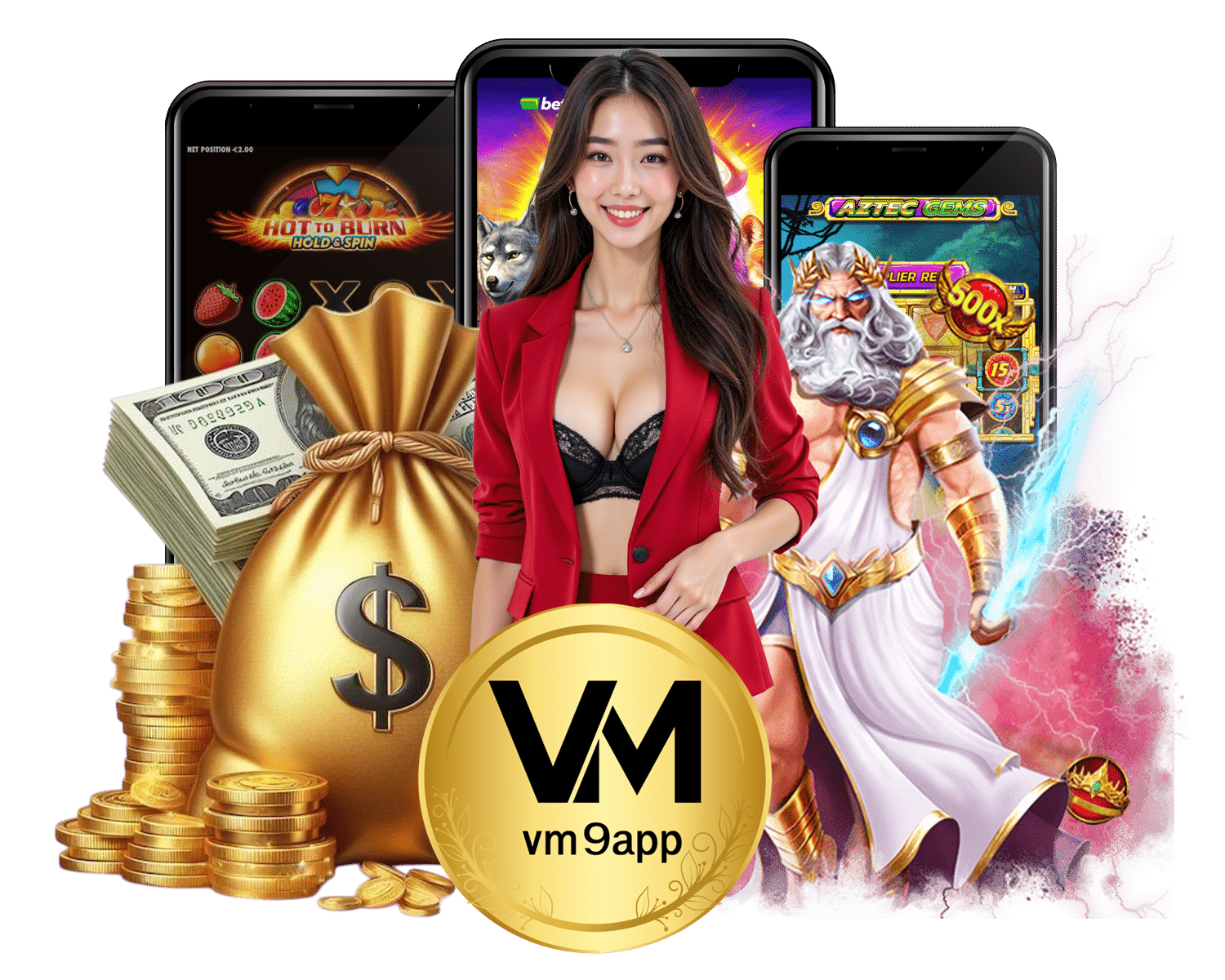ทางเข้า VM9APP